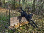 DSC00094.JPG