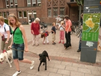 20080704_1423114790_8.jpg_backup